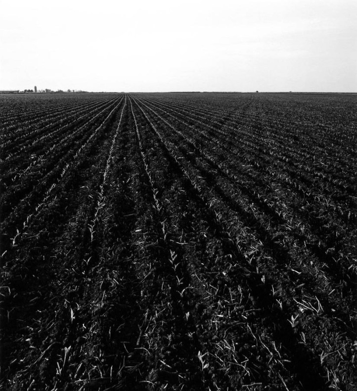 bob white's new corn clay county ia 5-91 ip91-55-02 web.jpg
